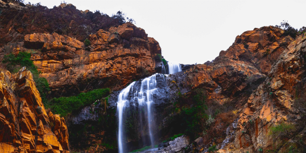 Walter Sisulu National Botanical Gardens & Harties Aerial Cableway Tour