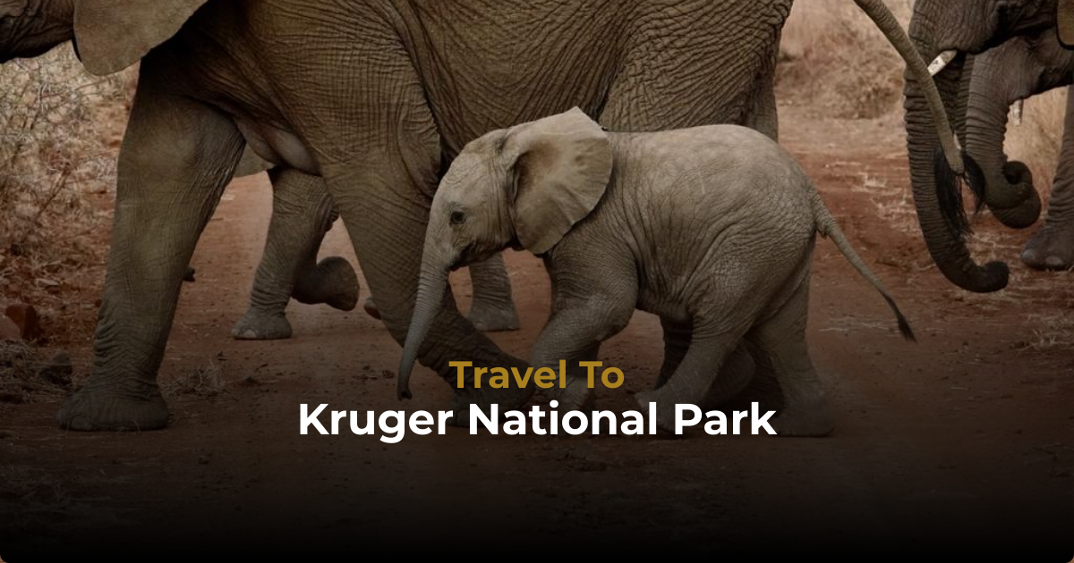Travel to National Park