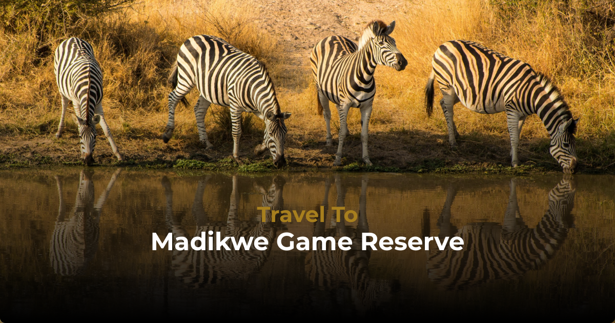 Madikwe Game Reserve