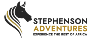 Stephenson Adventures